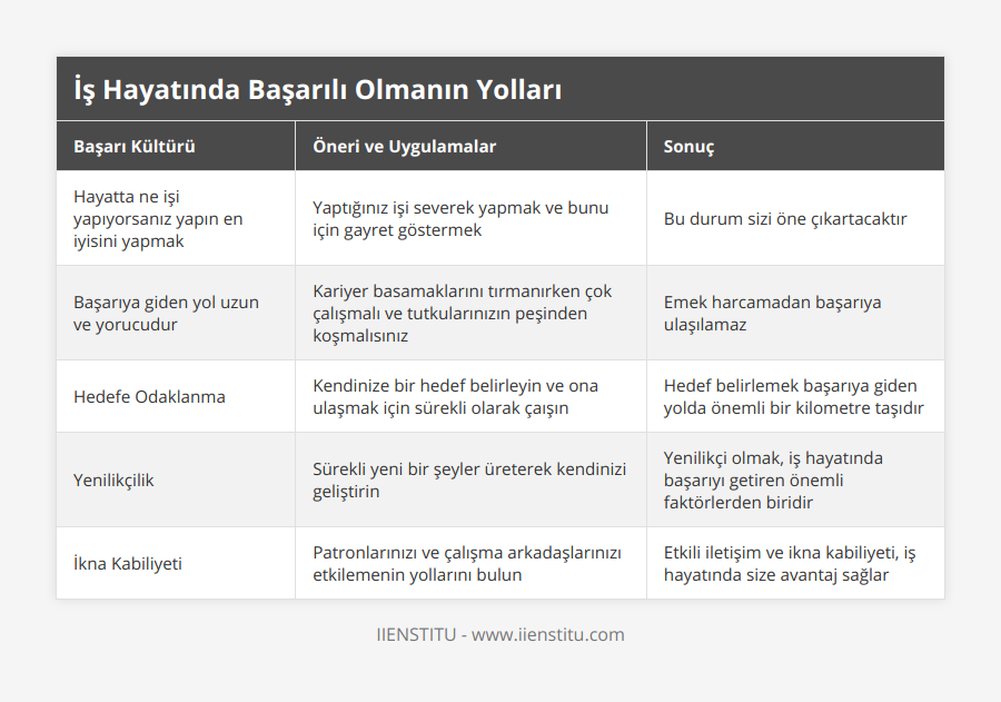 Hayatta ne işi yapıyorsanız yapın en iyisini yapmak, Yaptığınız işi severek yapmak ve bunu için gayret göstermek, Bu durum sizi öne çıkartacaktır, Başarıya giden yol uzun ve yorucudur, Kariyer basamaklarını tırmanırken çok çalışmalı ve tutkularınızın peşinden koşmalısınız, Emek harcamadan başarıya ulaşılamaz, Hedefe Odaklanma, Kendinize bir hedef belirleyin ve ona ulaşmak için sürekli olarak çaışın, Hedef belirlemek başarıya giden yolda önemli bir kilometre taşıdır, Yenilikçilik, Sürekli yeni bir şeyler üreterek kendinizi geliştirin, Yenilikçi olmak, iş hayatında başarıyı getiren önemli faktörlerden biridir, İkna Kabiliyeti, Patronlarınızı ve çalışma arkadaşlarınızı etkilemenin yollarını bulun, Etkili iletişim ve ikna kabiliyeti, iş hayatında size avantaj sağlar