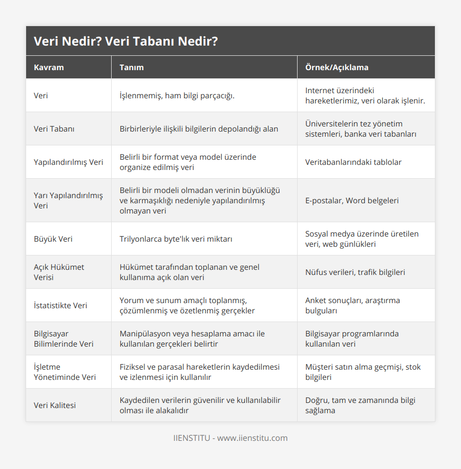 Veri, İşlenmemiş, ham bilgi parçacığı, Internet üzerindeki hareketlerimiz, veri olarak işlenir, Veri Tabanı, Birbirleriyle ilişkili bilgilerin depolandığı alan, Üniversitelerin tez yönetim sistemleri, banka veri tabanları, Yapılandırılmış Veri, Belirli bir format veya model üzerinde organize edilmiş veri, Veritabanlarındaki tablolar, Yarı Yapılandırılmış Veri, Belirli bir modeli olmadan verinin büyüklüğü ve karmaşıklığı nedeniyle yapılandırılmış olmayan veri, E-postalar, Word belgeleri, Büyük Veri, Trilyonlarca byte'lık veri miktarı, Sosyal medya üzerinde üretilen veri, web günlükleri, Açık Hükümet Verisi, Hükümet tarafından toplanan ve genel kullanıma açık olan veri, Nüfus verileri, trafik bilgileri, İstatistikte Veri, Yorum ve sunum amaçlı toplanmış, çözümlenmiş ve özetlenmiş gerçekler, Anket sonuçları, araştırma bulguları, Bilgisayar Bilimlerinde Veri, Manipülasyon veya hesaplama amacı ile kullanılan gerçekleri belirtir, Bilgisayar programlarında kullanılan veri, İşletme Yönetiminde Veri, Fiziksel ve parasal hareketlerin kaydedilmesi ve izlenmesi için kullanılır, Müşteri satın alma geçmişi, stok bilgileri, Veri Kalitesi, Kaydedilen verilerin güvenilir ve kullanılabilir olması ile alakalıdır, Doğru, tam ve zamanında bilgi sağlama