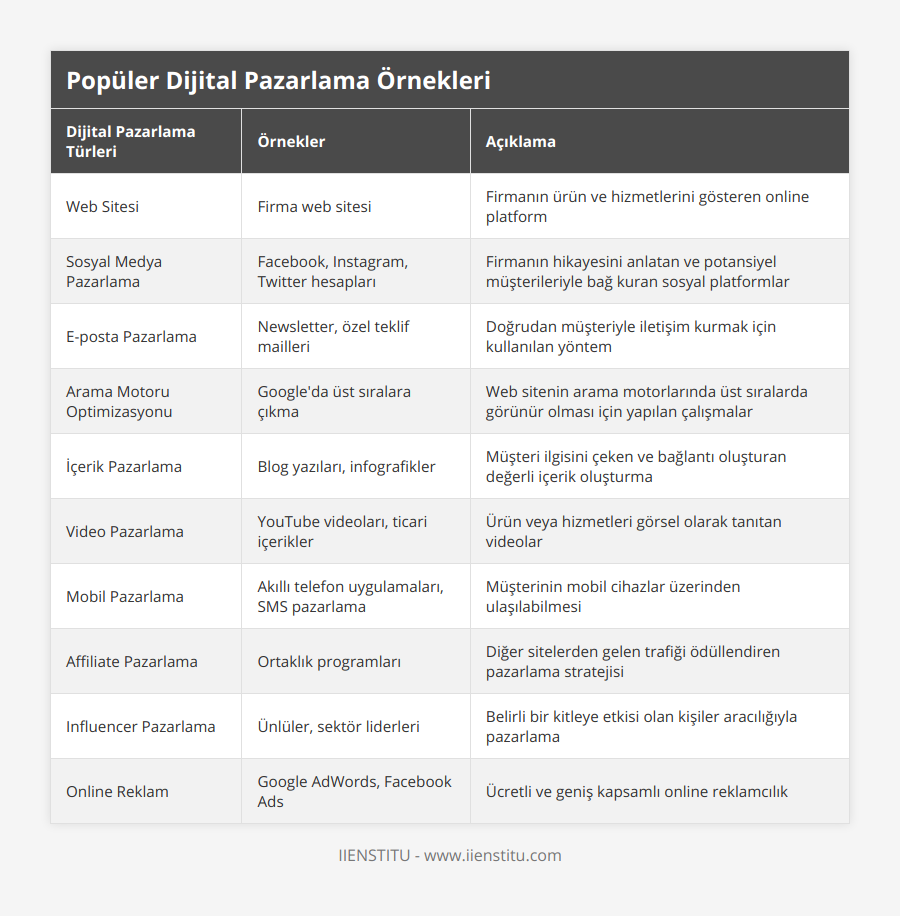 Web Sitesi, Firma web sitesi, Firmanın ürün ve hizmetlerini gösteren online platform, Sosyal Medya Pazarlama, Facebook, Instagram, Twitter hesapları, Firmanın hikayesini anlatan ve potansiyel müşterileriyle bağ kuran sosyal platformlar, E-posta Pazarlama, Newsletter, özel teklif mailleri, Doğrudan müşteriyle iletişim kurmak için kullanılan yöntem, Arama Motoru Optimizasyonu, Google'da üst sıralara çıkma, Web sitenin arama motorlarında üst sıralarda görünür olması için yapılan çalışmalar, İçerik Pazarlama, Blog yazıları, infografikler, Müşteri ilgisini çeken ve bağlantı oluşturan değerli içerik oluşturma, Video Pazarlama, YouTube videoları, ticari içerikler, Ürün veya hizmetleri görsel olarak tanıtan videolar, Mobil Pazarlama, Akıllı telefon uygulamaları, SMS pazarlama, Müşterinin mobil cihazlar üzerinden ulaşılabilmesi, Affiliate Pazarlama, Ortaklık programları, Diğer sitelerden gelen trafiği ödüllendiren pazarlama stratejisi, Influencer Pazarlama, Ünlüler, sektör liderleri, Belirli bir kitleye etkisi olan kişiler aracılığıyla pazarlama, Online Reklam, Google AdWords, Facebook Ads, Ücretli ve geniş kapsamlı online reklamcılık
