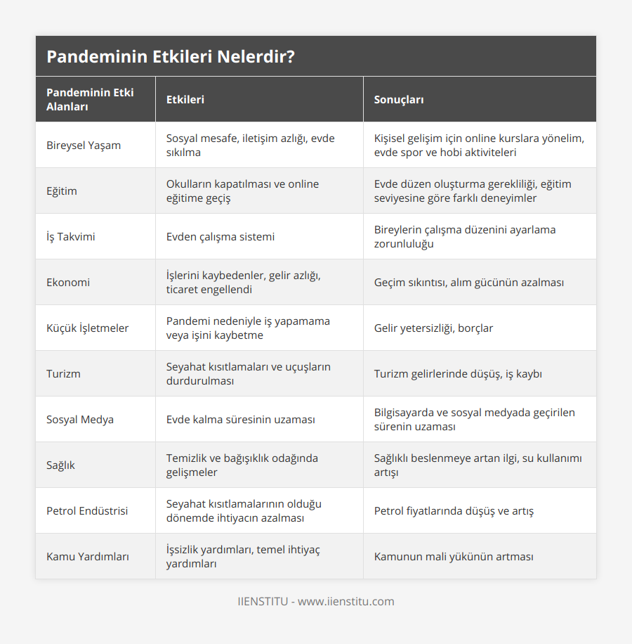 Bireysel Yaşam, Sosyal mesafe, iletişim azlığı, evde sıkılma, Kişisel gelişim için online kurslara yönelim, evde spor ve hobi aktiviteleri, Eğitim, Okulların kapatılması ve online eğitime geçiş, Evde düzen oluşturma gerekliliği, eğitim seviyesine göre farklı deneyimler, İş Takvimi, Evden çalışma sistemi, Bireylerin çalışma düzenini ayarlama zorunluluğu, Ekonomi, İşlerini kaybedenler, gelir azlığı, ticaret engellendi, Geçim sıkıntısı, alım gücünün azalması, Küçük İşletmeler, Pandemi nedeniyle iş yapamama veya işini kaybetme, Gelir yetersizliği, borçlar, Turizm, Seyahat kısıtlamaları ve uçuşların durdurulması, Turizm gelirlerinde düşüş, iş kaybı, Sosyal Medya, Evde kalma süresinin uzaması, Bilgisayarda ve sosyal medyada geçirilen sürenin uzaması, Sağlık, Temizlik ve bağışıklık odağında gelişmeler, Sağlıklı beslenmeye artan ilgi, su kullanımı artışı, Petrol Endüstrisi, Seyahat kısıtlamalarının olduğu dönemde ihtiyacın azalması, Petrol fiyatlarında düşüş ve artış, Kamu Yardımları, İşsizlik yardımları, temel ihtiyaç yardımları, Kamunun mali yükünün artması