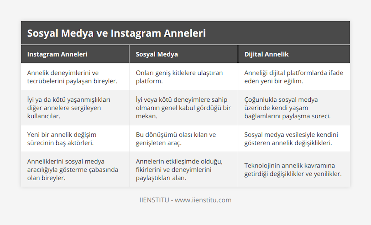 Annelik deneyimlerini ve tecrübelerini paylaşan bireyler, Onları geniş kitlelere ulaştıran platform, Anneliği dijital platformlarda ifade eden yeni bir eğilim, İyi ya da kötü yaşanmışlıkları diğer annelere sergileyen kullanıcılar, İyi veya kötü deneyimlere sahip olmanın genel kabul gördüğü bir mekan, Çoğunlukla sosyal medya üzerinde kendi yaşam bağlamlarını paylaşma süreci, Yeni bir annelik değişim sürecinin baş aktörleri, Bu dönüşümü olası kılan ve genişleten araç, Sosyal medya vesilesiyle kendini gösteren annelik değişiklikleri, Anneliklerini sosyal medya aracılığıyla gösterme çabasında olan bireyler, Annelerin etkileşimde olduğu, fikirlerini ve deneyimlerini paylaştıkları alan, Teknolojinin annelik kavramına getirdiği değişiklikler ve yenilikler