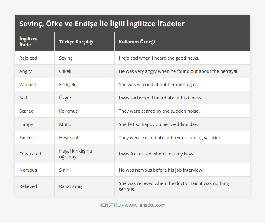 Rejoiced, Sevinçli, I rejoiced when I heard the good news, Angry, Öfkeli, He was very angry when he found out about the betrayal, Worried, Endişeli, She was worried about her missing cat, Sad, Üzgün, I was sad when I heard about his illness, Scared, Korkmuş, They were scared by the sudden noise, Happy, Mutlu, She felt so happy on her wedding day, Excited, Heyecanlı, They were excited about their upcoming vacation, Frustrated, Hayal kırıklığına uğramış, I was frustrated when I lost my keys, Nervous, Sinirli, He was nervous before his job interview, Relieved, Rahatlamış, She was relieved when the doctor said it was nothing serious