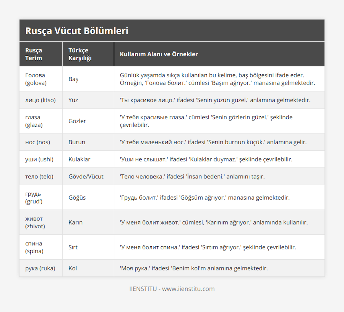 Голова (golova), Baş, Günlük yaşamda sıkça kullanılan bu kelime, baş bölgesini ifade eder Örneğin, 'Голова болит' cümlesi 'Başım ağrıyor' manasına gelmektedir, лицо (litso), Yüz, 'Ты красивое лицо' ifadesi 'Senin yüzün güzel' anlamına gelmektedir, глаза (glaza), Gözler, 'У тебя красивые глаза' cümlesi 'Senin gözlerin güzel' şeklinde çevrilebilir, нос (nos), Burun, 'У тебя маленький нос' ifadesi 'Senin burnun küçük' anlamına gelir, уши (ushi), Kulaklar, 'Уши не слышат' ifadesi 'Kulaklar duymaz' şeklinde çevrilebilir, тело (telo), Gövde/Vücut, 'Тело человека' ifadesi 'İnsan bedeni' anlamını taşır, грудь (grud’), Göğüs, 'Грудь болит' ifadesi 'Göğsüm ağrıyor' manasına gelmektedir, живот (zhivot), Karın, 'У меня болит живот' cümlesi, 'Karınım ağrıyor' anlamında kullanılır, спина (spina), Sırt, 'У меня болит спина' ifadesi 'Sırtım ağrıyor' şeklinde çevrilebilir, рука (ruka), Kol, 'Моя рука' ifadesi 'Benim kol'm anlamına gelmektedir