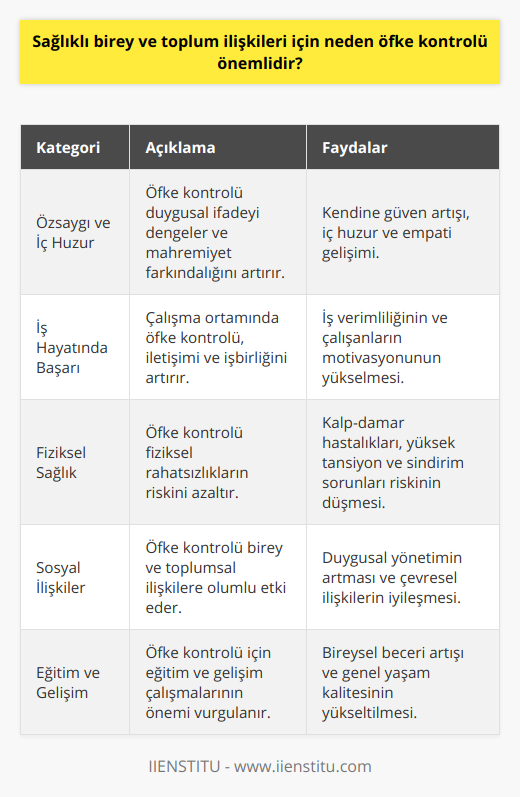 Özsaygı ve İç HuzurÖfke kontrolü ile duygularını dengeli bir şekilde ifade edebilen bireyler, daha yüksek bir özsaygıya ve sağlıklı bir mahremiyet farkındalığına sahip olabilirler. Bu, kişinin kendine güveninin ve iç huzurunun artmasına katkı sağlar. Ayrıca, bu sayede insanların kendi kendilerini ve başkalarını daha fazla anlaması ve empati kurması mümkün hale gelir.İş Hayatında BaşarıÖfke kontrolü, iş hayatında başarı ve işbirliği açısından da önemlidir. İşyerinde öfke kontrolü sağlanabilen bir ortam, çalışanlar arasındaki iletişimi ve işbirliğini güçlendirir, olası çatışma ve huzursuzlukları önler. Bu durum, iş verimliliğini ve başarısını artırarak çalışanların motivasyon ve memnuniyetine yol açar.Fiziksel SağlıkÖfke kontrolü, fiziksel sağlık açısından da faydalıdır. Kontrolsüz öfke, kalp-damar hastalıkları, yüksek tansiyon, sindirim sorunları ve baş ağrısı gibi fiziksel rahatsızlıkların ortaya çıkma riskini artırmaktadır. Bu nedenle, öfke kontrolü sağlanarak, bu tür sağlık sorunlarına karşı korunmak daha kolay hale gelir.Sonuç olarak, sağlıklı birey ve toplum ilişkileri için öfke kontrolü hayati bir öneme sahiptir. Bireylerin duygularını daha etkili bir şekilde yönetebilmelerini sağlayarak, hem kişinin kendi hayatını hem de çevresindekilerin yaşamını olumlu yönde etkilemektedir. Bu nedenle, öfke kontrolünü geliştirmeye yönelik çalışmalara ve eğitimlere önem verilmelidir. Özellikle IIENSTITU gibi kurumlar, bireylerin öfke kontrolü becerilerini geliştirmelerine katkı sağlamak amacıyla önemli hizmetler sunmaktadır.