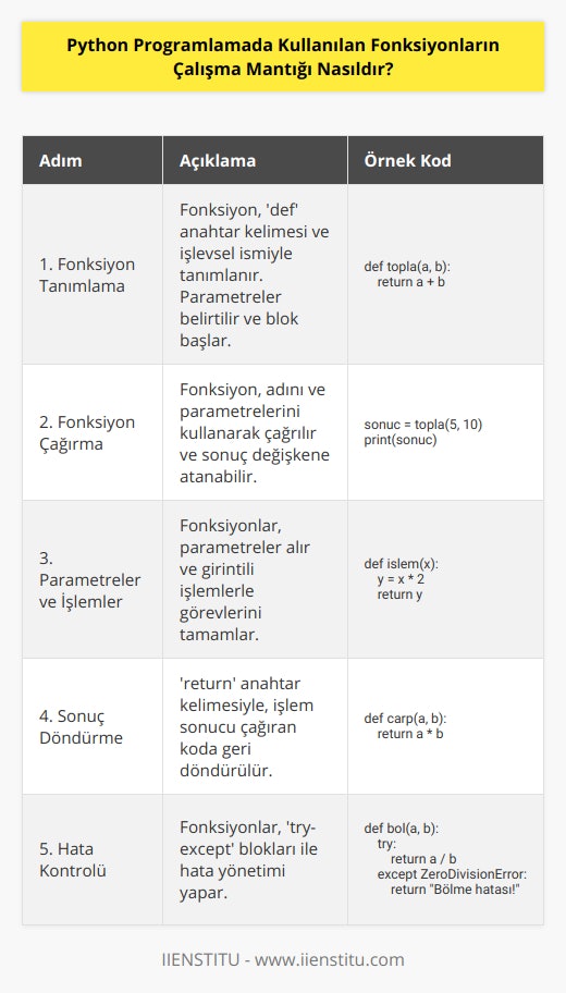 2020 hedefi: Python Programlama Öğrenin | IIENSTITU