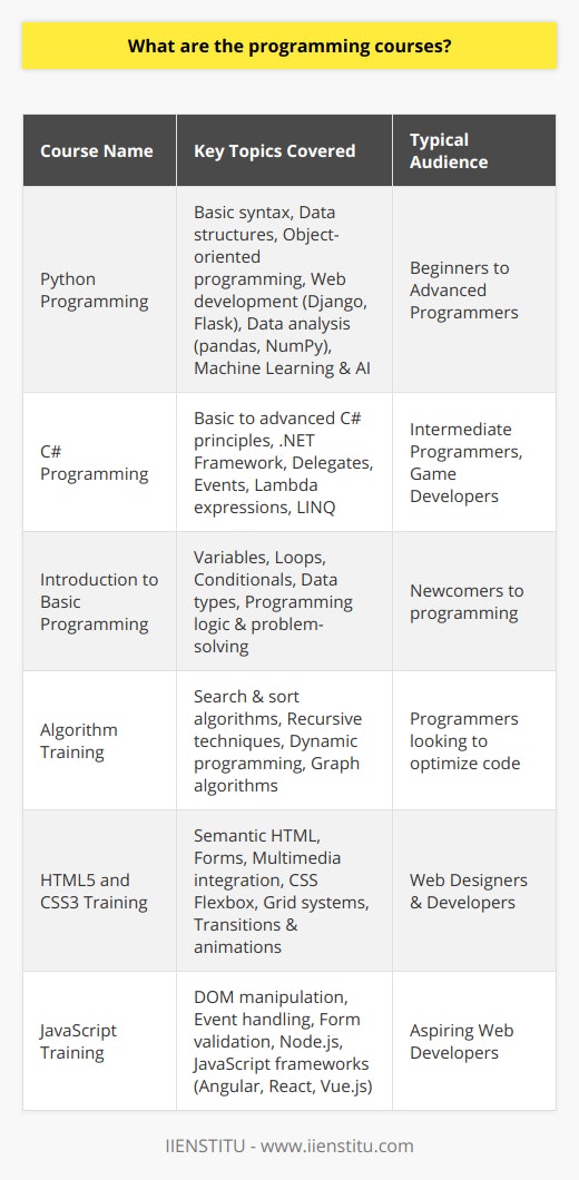 Why Should You Learn Programming? | IIENSTITU