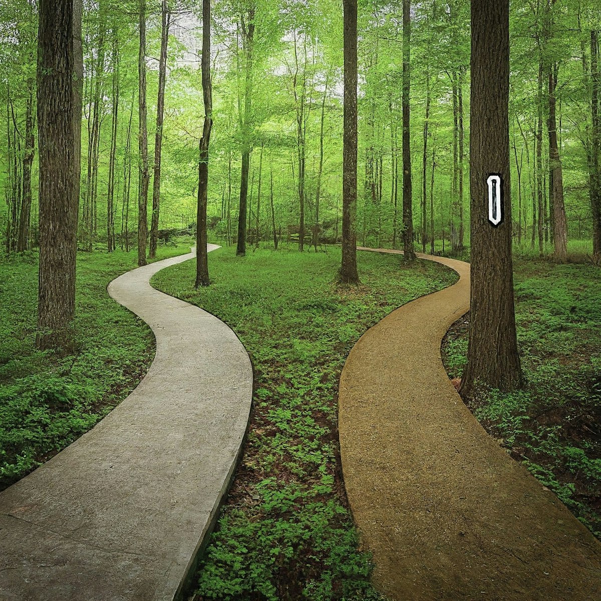 The Importance of Heuristic Analysis in User Experience Design