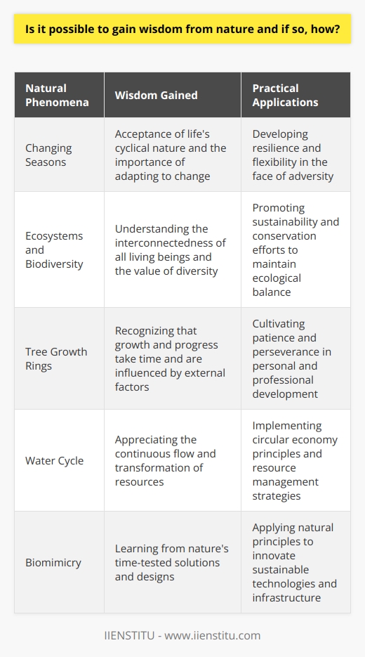 Yes, nature can be a profound source of wisdom. Observing natural processes teaches lessons in resilience, interdependence, and the cycles of life.  Engaging with nature mindfully allows us to reflect on our place in the world and gain insights into living harmoniously. Additionally, learning about ecological systems and sustainability can guide us towards making wiser, more considerate decisions for our environment and future generations.