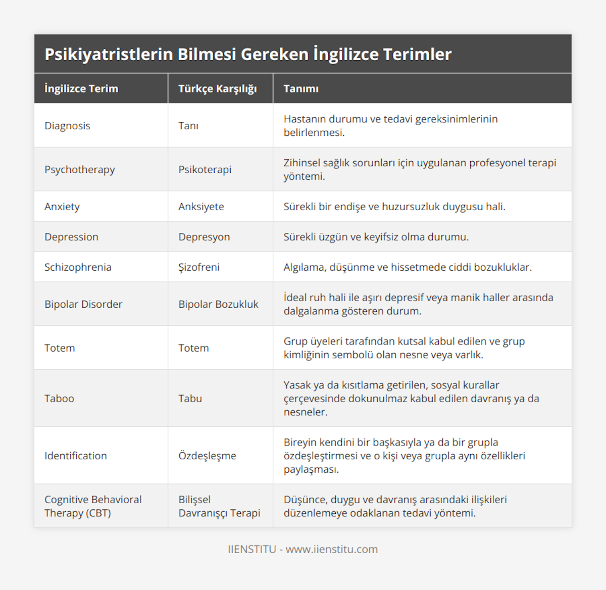 Diagnosis, Tanı, Hastanın durumu ve tedavi gereksinimlerinin belirlenmesi, Psychotherapy, Psikoterapi, Zihinsel sağlık sorunları için uygulanan profesyonel terapi yöntemi, Anxiety, Anksiyete, Sürekli bir endişe ve huzursuzluk duygusu hali, Depression, Depresyon, Sürekli üzgün ve keyifsiz olma durumu, Schizophrenia, Şizofreni, Algılama, düşünme ve hissetmede ciddi bozukluklar, Bipolar Disorder, Bipolar Bozukluk, İdeal ruh hali ile aşırı depresif veya manik haller arasında dalgalanma gösteren durum, Totem, Totem, Grup üyeleri tarafından kutsal kabul edilen ve grup kimliğinin sembolü olan nesne veya varlık, Taboo, Tabu, Yasak ya da kısıtlama getirilen, sosyal kurallar çerçevesinde dokunulmaz kabul edilen davranış ya da nesneler, Identification, Özdeşleşme, Bireyin kendini bir başkasıyla ya da bir grupla özdeşleştirmesi ve o kişi veya grupla aynı özellikleri paylaşması, Cognitive Behavioral Therapy (CBT), Bilişsel Davranışçı Terapi, Düşünce, duygu ve davranış arasındaki ilişkileri düzenlemeye odaklanan tedavi yöntemi