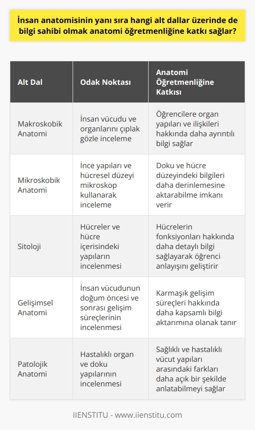 Alt Dalları İle İlgili Bilgi Sahibi Olma ve Anatomi Öğretmenliğine Katkılar  İnsan anatomisi, vücudumuzdaki organları tanımlayan ve aralarındaki bağlantıyı inceleyen temel tıp bilimidir. Bu alanda anatomi öğretmenleri, öğrencilere iskelet ve kas yapısı, organlar arasındaki yapısal ilişkiler gibi genel bilgileri aktarırken, konuyla ilgili alt dallara da değinirler: makroskobik anatomi, mikroskobik anatomi, sitoloji, gelişimsel anatomi ve patolojik anatomi. Bu alt dallara hâkim olmak, anatomi öğretmenlerinin öğrencilere daha geniş ve derinlemesine bilgi sunabilmesini sağlar.  Makroskobik ve Mikroskobik Anatomi Bilgisi  Makroskobik anatomi, insan vücudu ve organlarını çıplak gözle incelerken, mikroskobik anatomi, ince yapıları ve hücresel düzeyi incelemek için mikroskop kullanır. Bu alt dalları iyi bilen anatomi öğretmenleri, özellikle doku ve hücre düzeyindeki bilgileri daha ayrıntılı olarak öğrencilere aktarabilirler.  Sitoloji ve Gelişimsel Anatomi Üzerine Bilgi Sahibi Olma  Sitoloji, hücreleri ve hücre içerisindeki yapıları inceleyen bir bilim dalıdır. Gelişimsel anatomi ise insan vücudunun doğum öncesi ve sonrası gelişim süreçlerini inceler. Anatomi öğretmenleri, bu alt dalların bilgisi sayesinde öğrencilere hücrelerin fonksiyonları ve karmaşık gelişim süreçleri hakkında daha detaylı bilgi sağlayabilirler.  Patolojik Anatomi Bilgisi ve Öğretmenlikte Olan Etkisi  Patolojik anatomi, hastalıklı organ ve doku yapılarının incelenmesi üzerine yoğunlaşır. Bu alandaki bilgi birikimi, anatomi öğretmenlerinin öğrencilere sağlıklı ve hastalıklı vücut yapıları arasındaki farkları ve bu farkların tıbbi sonuçlarını daha açık bir şekilde anlatabilmesine yardımcı olur.  Sonuç olarak, anatomi öğretmenlerinin insan anatomisiyle birlikte alt dallar üzerinde de bilgi sahibi olması, öğrencilere daha kapsamlı ve derinlemesine bir eğitim sunabilme yeteneğini artırır. Bu sayede öğretmenler, öğrencilerin tıp alanında çok yönlü ve sağlam bir temel oluşturmalarını sağlamış olur. Bu nedenle, anatomi öğretmeni adaylarının kendilerini bu alt dallarda geliştirmeleri öğretmenlik kariyerlerinde başarılı olmaları açısından oldukça önemlidir.