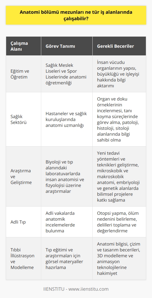 Anatomi Bölümü Mezunlarının İş Alanları  İnsan anatomisi, vücudumuzdaki organları tanımlayan ve bu organlar arasındaki bağlantıları inceleyen ana bilim dalıdır. Anatominin alt dalları ise makroskobik anatomi, mikroskobik anatomi, sitoloji, gelişimsel anatomi ve patolojik anatomi olarak sıralanır. Anatomi bölümünden mezun olan kişiler, geniş bir iş alanında çalışma imkanına sahiptir. Bu yazıda, anatomi bölümü mezunlarının ne tür iş alanlarında çalışabileceğine değineceğiz.  Eğitim ve Öğretim Alanı  Anatomi bölümü mezunları, özellikle eğitim ve öğretim alanında görev alabilirler. Üniversitelerin biyoloji ile ilgili bölümlerinden mezun olan kişiler, Sağlık Meslek Liseleri ve Spor Liselerinde anatomi öğretmeni olarak görev yapabilirler. Anatomi öğretmenleri, insan vücudundaki organların yapısı, büyüklüğü ve işleyişi ile ilgili bilgileri öğrencilere aktarır ve bu konuda eğitim verir.  Sağlık Sektörü  Anatomi bölüm mezunları, sağlık sektöründe de görev alabilirler. Bu mezunlar, hastanelerde ve sağlık kuruluşlarında anatomi uzmanları olarak çalışarak, organ ve doku örneklerinin incelenmesi ve tanı koyma süreçlerinde görev alabilirler. Bu alanda çalışan anatomi bölümü mezunlarının patoloji, histoloji, sitoloji gibi alanlarda bilgi sahibi olması gerekmektedir.  Araştırma ve Geliştirme  Anatomi bölümü mezunları, araştırma ve geliştirme alanında da önemli roller üstlenebilirler. Biyoloji ve tıp alanındaki laboratuvarlarda, insan anatomisi ve fizyolojisiyle ilgili araştırmalar yaparak, yeni tedavi yöntemleri ve teknikleri üzerine çalışmalar gerçekleştirebilirler. Bu kapsamda, mikroskobik ve makroskobik anatomi, embriloji ve genetik alanlarda bilimsel projelere katkı sağlayabilirler.  Sonuç olarak, anatomi bölümü mezunları, eğitim ve öğretim, sağlık sektörü ve araştırma ve geliştirme alanlarında çeşitli iş olanaklarıyla kariyer yapabilirler. Bu mezunların, tıp ve insan vücudu hakkında, organlar ve sistemler ile ilgili son derece iyi bilgi sahibi olmaları, iş bulma imkanlarını artırmaktadır. Her alanda başarılı olabilmek için, mezunlar eğitim süreçlerini ve mesleki becerilerini sürekli olarak geliştirmelidir.