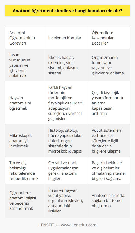 Anatomi Öğretmeni ve Görevleri  Anatomi öğretmeni, insan ve hayvanların vücut yapılarını, organlarının işlevlerini ve aralarındaki ilişkileri inceleyen bilim dalı olan anatomi konusunda eğitim veren uzman kişidir. Öğrencilere anatomi bilgisi ve becerisi kazandırmayı amaçlar.  İnsan Vücudunun Yapısı  Anatomi öğretmenleri, insan vücudunun yapı ve işlevlerini etkili bir şekilde anlatır ve öğrencilere bu konuda sağlam bir temel oluşturur. İskelet, kaslar, eklemler, sinir sistemi ve dolaşım sistemi gibi organizmanın temel yapı taşlarını ve bunların işlevlerini öğrencilere aktarır.  Hayvan Yapısı ve İşlevleri  Hayvanların anatomisi de öğretmenlerin önemli bir konusudur. Bu kapsamda, farklı hayvan türlerinin morfolojik ve fizyolojik özelliklerini, adaptasyon süreçlerini ve evrimsel geçmişlerini öğrencilere sunarlar. Bu sayede, öğrencilerin çeşitli bir biyolojik yaşam formlarını anlama kapasiteleri arttırılır.  Mikroskopik Anatomiyi İncelenmesi  Anatomi öğretmeninin bir diğer alanı da mikroskopik anatomi, yani histoloji ve sitolojidir. Bu konuların öğretimi, hücre yapısını, doku tiplerini ve organ sistemlerinin mikroskobik yapısını kapsar. Bu bilgiler, öğrencilerin vücut sistemleri ve hücresel süreçlerle ilgili daha derin bilgilere ulaşmasına izin verir.  Diş Hekimliği ve Tıp Fakültelerindeki Rolü  Anatomi öğretmenleri, tıp ve diş hekimliği fakültelerinde önemli bir rol oynamaktadır. Bu eğitim kurumlarında, öğrencilerin cerrahi ve tıbbi uygulamalara başlamadan önce anatomi bilgilerini sağlamlaştırmaları büyük önem taşır. Bu nedenle, anatomi öğretmenleri bu öğrencilere dikkatlice ve titizlikle rehberlik eder.  Sonuç olarak, anatomi öğretmeni, insan ve hayvan vücut yapısını ve işlevlerini, mikroskopik düzeydeki yapıları ve tıbbi uygulamalarla gerekli anatomi bilgilerini öğrencilere aktaran önemli bir eğitmen rolüne sahiptir. Bu bilgiler, öğrencilerin başarılı   , tıp ve diş hekimliği uzmanları olmaları için temel bir önem taşımaktadır.