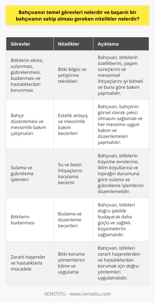 Bahçıvanlık Görevleri  Bahçıvanın temel görevleri; bitkilerin ekimi, sulanması, gübrelenmesi, budanması ve hastalıklarından korunması gibi süreçleri düzenli olarak yönetmek ve bahçenin düzenini sağlamaktır. Bunun yanı sıra, bahçe düzenlemesi ve mevsimlik bakım çalışmaları da bahçıvanın sorumluluğundadır.  Bitkilerin Ekimi ve Bakımı  Etkili bir bahçıvan, bitkilerin ekimi ve bakımı konularında yeterli bilgi ve deneyime sahip olmalıdır. Bahçede yetiştirilecek bitkilerin özellikleri, yaşam süreçleri ve mevsimlere göre değişen ihtiyaçlarına hakim olması gerekmektedir. Ayrıca, bahçıvan bitkilerin zararlı haşerelerden ve hastalıklardan korunması için doğru yöntemlerin uygulanmasından sorumludur.  Sulama ve Gübreleme  Başarılı bir bahçıvan, bahçedeki bitkilerin ihtiyaç duyduğu su ve besin maddelerini uygun aralıklarla sağlamalıdır. Sulama ve gübreleme işlemleri, bitkilerin büyüme evreleri, iklim koşulları ve toprağın durumuna göre düzenlenmeli ve takip edilmelidir.  Budama ve Düzenleme  Bahçıvanın görevleri arasında bitkilerin budanması ve bahçenin düzeni de bulunmaktadır. Budama sayesinde bitkiler daha güçlü ve sağlıklı bir şekilde büyür. Bahçıvan, budama ve bahçenin düzeninde kendi estetik anlayışını kullanarak, bahçelerin görsel olarak da zengin ve çekici olmasını sağlar.  Mevsimlik Bakım  Bahçıvan, dört mevsime uygun olarak bahçenin bakımını ve gereken düzenlemeleri yapmalıdır. Her mevsime özgü bakım gereksinimleri, bitki seçimi ve yetiştirilme koşullarını bilmeli ve bahçe düzenlemesi de bu bilgiye göre ayarlanmalıdır.  Sonuç olarak, başarılı bir bahçıvanın sahip olması gereken nitelikler; bitki bilgisi, yetiştirme teknikleri, su ve besin ihtiyaçlarını karşılama, budama ve düzenleme becerileri ile mevsimlik bakım ve düşünürleri yerine getirme becerisidir. Bu donanımlara sahip bahçıvanlar, bahçenin hem sağlıklı hem de estetik açıdan başarılı bir şekilde yönetilmesini sağlayabilirler.