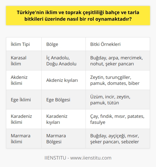 İklimin Etkileri:  Türkiyenin iklim ve toprak çeşitliliği, bahçe ve tarla bitkileri üzerinde önemli bir rol oynamaktadır. Bu çeşitlilik, bitkilerin gelişimine ve yayılımına katkı sağlar. Ülkenin farklı bölgelerinde karasal, Akdeniz, Ege ve Karadeniz iklimi gibi çeşitli iklim tiplerine rastlanır. Bu iklim koşulları, seçilecek bitki türlerinin ve yetiştiricilik uygulamalarının belirlenmesinde önemli rol oynar.  Toprak Çeşitliliği:  Türkiyenin toprak çeşitliliği, bitki yetiştirme olanaklarını arttırmaktadır. Türkiyede allüvyal, kumlu, killi, tınlı ve torfli gibi farklı toprak yapı ve özelliklerine sahip bölgeler bulunmaktadır. Her bitki türü için ideal olan toprak yapı ve nitelikleri değişkendir. Bu sebeple, hangi bitkilerin hangi bölgelerde daha iyi yetişebileceği, toprak çeşitliliğine bağlıdır.  Sulama ve Drenaj:  Bahçe ve tarla bitkilerinin başarılı bir şekilde yetiştirilmesinde, su ve drenaj koşulları büyük önem taşır. Türkiyenin iklim ve toprak çeşitliliği sayesinde bitkilerin sulanması ve drenajı için farklı yöntemler uygulanabilmektedir. Örneğin, geniş alüvyal ovalar verimli tarım alanları oluştururken, yüksek rakımlı yerlerde teraslama uygulamaları ile tarım yapılabilmektedir.  Bitki Koruma ve Hastalık Yönetimi:  İklim ve toprak çeşitliliği, bitki hastalık ve zararlılarının yayılım ve kontrolü açısından da etkili olmaktadır. Türkiyenin farklı bölgelerinde gözlemlenen bitki hastalık ve zararlıları, o bölgenin iklim ve toprak şartlarının bir sonucudur. Bu durum, bahçe ve tarla bitkilerinin etkili koruma ve hastalık yönetimi stratejilerinin uygulanmasını gerektirir.  Sonuç olarak, Türkiyenin iklim ve toprak çeşitliliği, bahçe ve tarla bitkilerinin yetiştirilmesi üzerinde belirleyici bir rol oynamaktadır. Ülkedeki bu uygun koşullar, bitkilerin daha geniş bir yelpazedeki tür ve çeşitlerini yetiştirme olanaklarını beraberinde getirir. Bu çeşitlilik, Türkiye tarım sektörünün sürdürülebilirliği ve gelişimi açısından da önemlidir.
