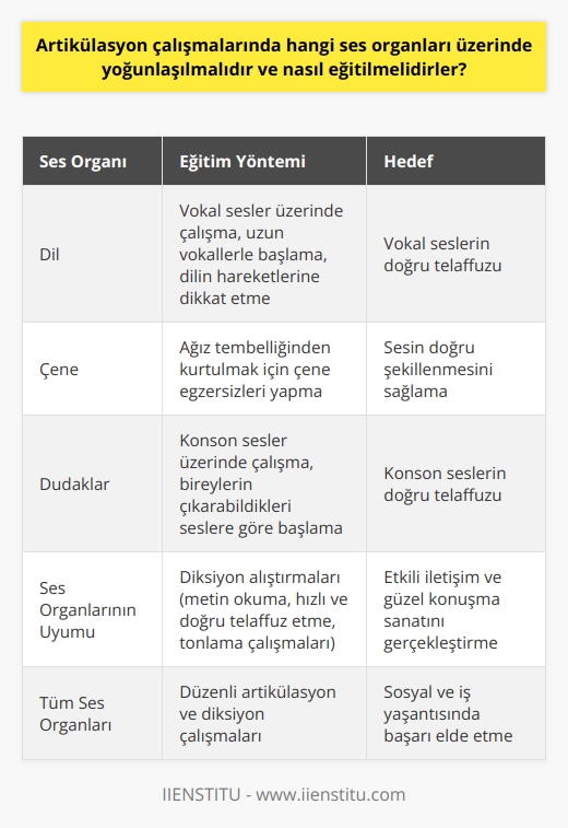 Artikülasyon Çalışmalarında Odaklanılması Gereken Ses Organları ve Eğitim Yöntemleri  Konuşma becerisinin geliştirilmesi, çeşitli ses organlarının uyumlu bir şekilde çalışması sonucu sağlanır. Artikülasyon ve diksiyon çalışmalarında, bireylerin doğru ve    becerisine sahip olmaları adına, ses organları üzerinde yoğunlaşılmalıdır. Ses organlarının eğitim sürecinde, dil, çene ve dudakların bir arada çalışarak sese şekil vermesi hedeflenir. Bu bağlamda, ağız tembelliğinden kurtulmak için dil, çene ve dudakları çalıştıran hareketler ve egzersizlere öncelik verilmelidir.  Vokal ve Konson Sesler Üzerinde Çalışma  Öncelikle, artikülasyon çalışmalarında bireylerin konson ve vokal seslerini temiz çıkarmaları önemlidir. Bu süreçte, öncelikle vokal seslerine odaklanılmalıdır. Vokal ses grubu, A, O, U, I, E, İ, Ü, Ö seslerini içerir. Çalışmaları başlatırken uzun vokallerle başlanmalı ve seslerin doğru telaffuzu esnasında dilin hareketlerine dikkat edilmelidir. Daha sonra, konson sesler üzerinde çalışmaya başlanmalıdır. Bu grup B, P, M, N sessiz harflerinden oluşur. Konson çalışmalarında, bireylerin bireysel olarak çıkarabildikleri seslere göre başlamaları önerilir.   Artikülasyon ve Diksiyon Alıştırmaları  Artikülasyon çalışmalarının tamamlanmasının ardından, bireyler diksiyon alıştırmalarına geçmelidir. Bu çalışmalar, sözcüklerin doğru ve açık bir şekilde telaffuz edilip etkili iletişimin sağlanması amacı ile önem taşır. Diksiyon alıştırmaları, metin okuma, hızlı ve doğru telaffuz etme ve tonlama çalışmaları gibi farklı eğitim yöntemlerini içerir. Bu çalışmalar sayesinde bireylerin sosyal yaşantıda ve iş hayatında güzel ve    sanatını gerçekleştirebilmesi ve etkili iletişim kurabilmesi hedeflenir.   Sonuç olarak, artikülasyon çalışmalarında doğru ve  becerisinin geliştirilmesi adına, dil, çene ve dudaklar gibi ses organları üzerinde yoğunlaşılmalıdır. İyi bir konuşma becerisine sahip olmak, bireylerin sosyal ve iş yaşantısında başarı elde etmelerine yardımcı olacaktır.