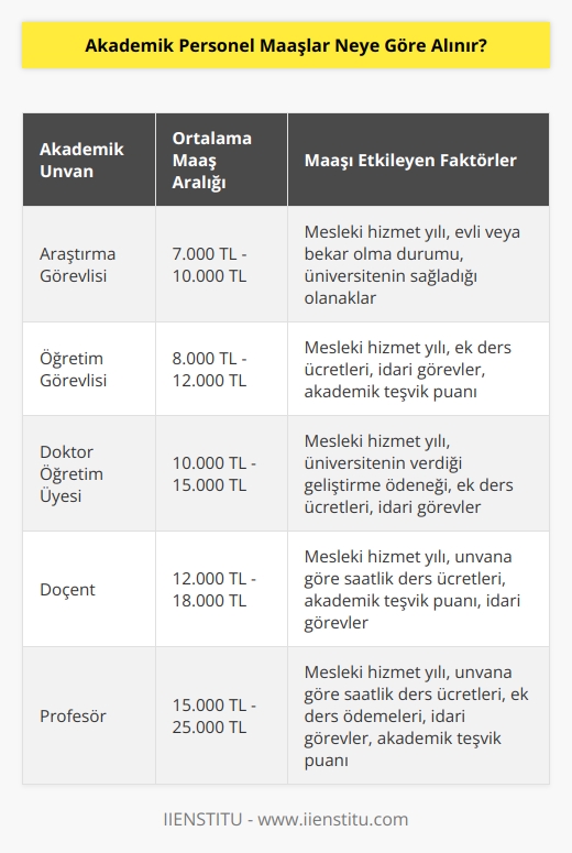 Akademik personel maaşları oldukça değişken olduğunu belirtebiliriz. Bu değişkenlerin en temel nedeni ise; mesleki hizmet yılı, mesleki unvanı, üniversite tarafından verilen geliştirme ödeneği, unvana göre saatli ders ücretleri, ek ders kapsamında verilen ödemeler, görev yapmış olduğu üniversitedeki herhangi bir idari görevinin olması, akademik teşvik puanı ve bekar veya evli olması. 