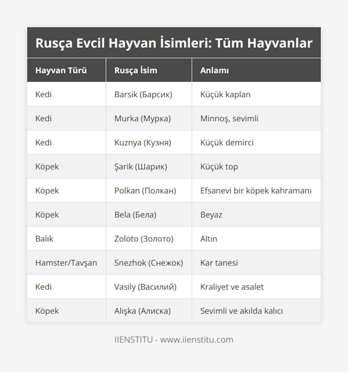 Kedi, Barsik (Барсик), Küçük kaplan, Kedi, Murka (Мурка), Minnoş, sevimli, Kedi, Kuznya (Кузня), Küçük demirci, Köpek, Şarik (Шарик), Küçük top, Köpek, Polkan (Полкан), Efsanevi bir köpek kahramanı, Köpek, Bela (Бела), Beyaz, Balık, Zoloto (Золото), Altın, Hamster/Tavşan, Snezhok (Снежок), Kar tanesi, Kedi, Vasily (Василий), Kraliyet ve asalet, Köpek, Alışka (Алиска), Sevimli ve akılda kalıcı