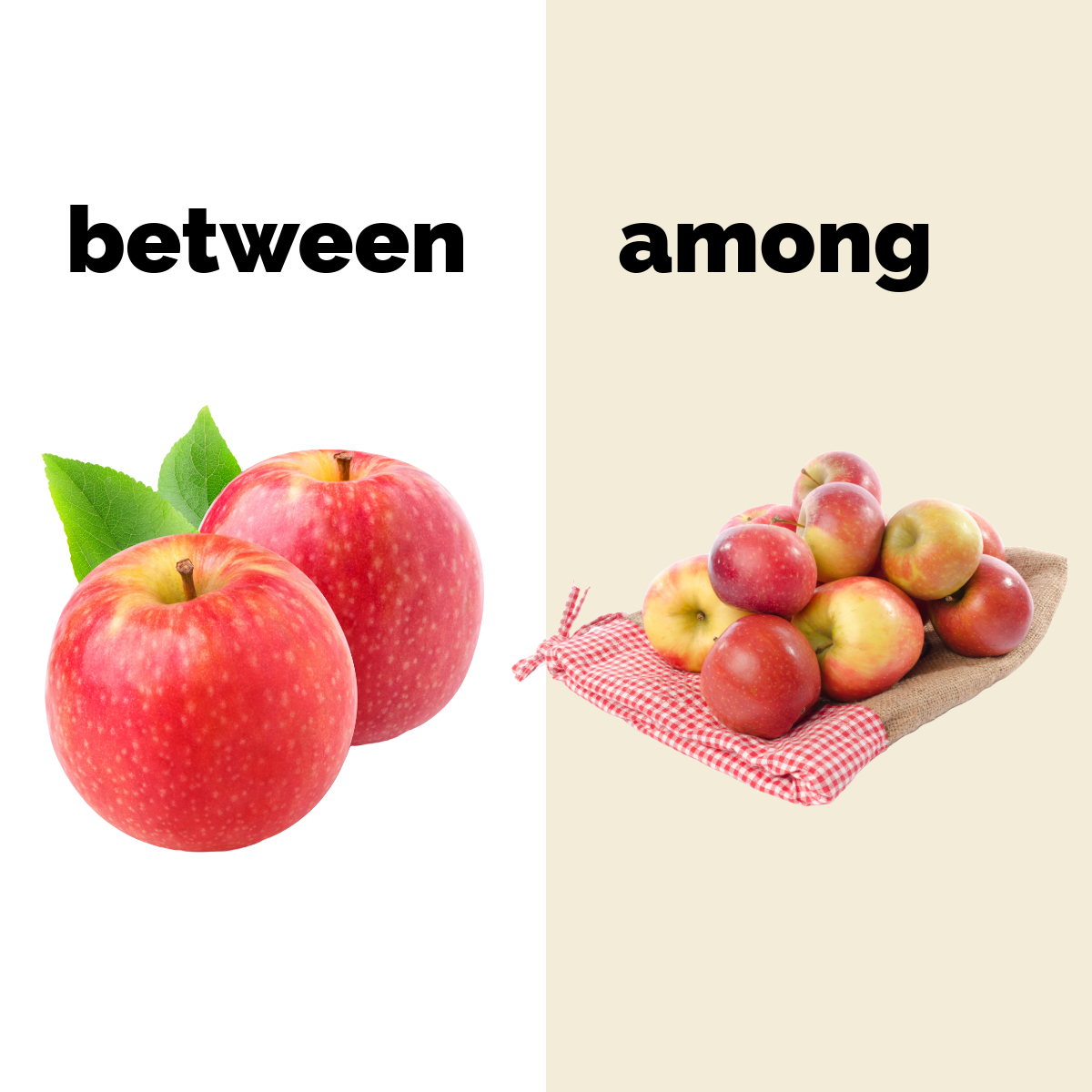Bu görsel, "between" ve "among" kavramlarının farkını göstermektedir. Sol tarafta iki elma arasındaki ilişkiyi ifade eden "between" kelimesi yer alırken, sağ tarafta bir grup elmanın oluşturduğu topluluk için "among" kelimesi kullanılmıştır. Görsel, iki nesne ve bir grup arasındaki ilişkiyi açıkça vurgulamaktadır.
