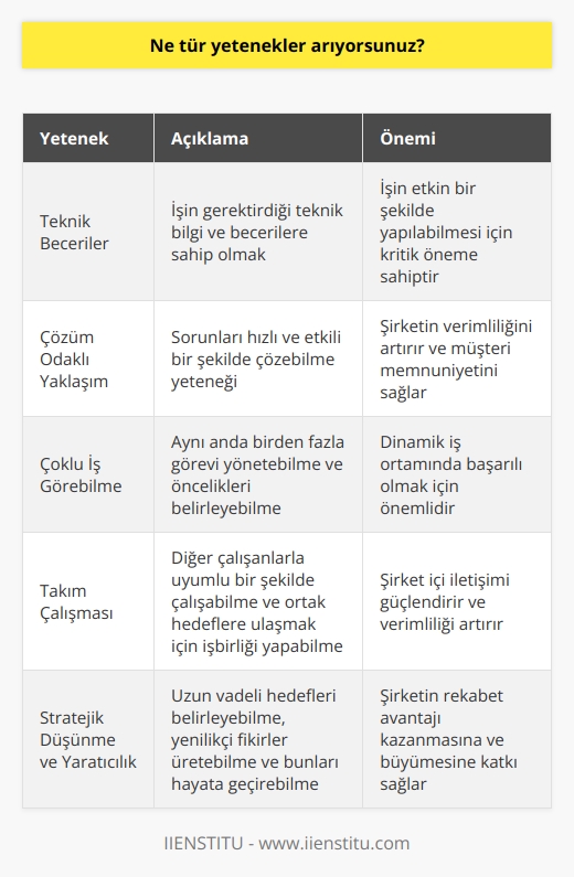 Biz özellikle çalışanlarımızın teknik becerileri, çözüm odaklı yaklaşımı, çoklu iş görebilme yeteneği, takım çalışmasına katılma yeteneği, stratejik düşünme yeteneği ve yaratıcılık aramaktayız.