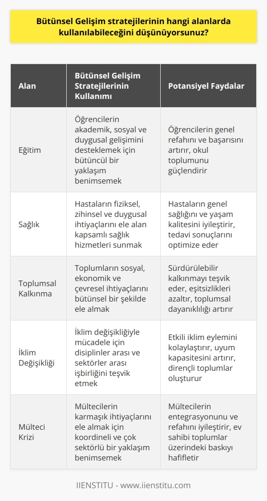 Bütünsel Gelişim stratejileri, çeşitli alanlarda kullanılabilir. Örneğin, eğitim, sağlık, toplumsal kalkınma, sosyal hizmetler, iklim değişikliği, çevre, mülteci krizi, ekonomik kalkınma, küresel konular ve çok daha fazlası.