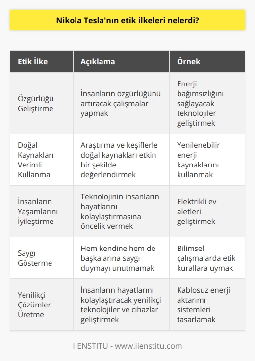 1. İnsanların özgürlüğünü geliştirmeye çalışın.  2.    ve keşif yaparak doğal kaynakları verimli ve etkili bir şekilde kullanın.  3. Teknolojinin insanların yaşamlarını iyileştirmesini sağlamaya öncelik verin.  4. Her insanın kendine saygı göstermesi ve diğer insanları da aynı şekilde saygı göstermesi gerektiğini unutmayın.  5. İnsanların yaşamlarını kolaylaştırmak için yenilikçi teknolojiler ve cihazlar geliştirin.  6. İnsanların hayatlarını geliştirmek için ilham veren fikirler üretin.  7. Elektrik enerjisini etkili ve verimli bir şekilde kullanın.  8. İnsanların hayatlarını kolaylaştırmak için yenilikçi çözümler geliştirin.  9. İnsanların sağlığını ve toplumu iyileştirmek için yenilikçi teknolojiler ve cihazlar bulun.  10. İnsanların hayatlarını iyileştirmek için ekonomik ve sosyal çözümler geliştirin.