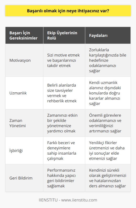 Eğer başarılı olacaksanız yardıma ihtiyacınız var. Ne yaptığınızı övecek, sizi motive edecek ve sizin üzerinde mantıklı ve pratik kararlar alabileceğiniz uzmanlık veya zamana sahip olmadığınız iş alanlarında size tavsiye verecek olan ekip üyelerine ihtiyacınız var. 