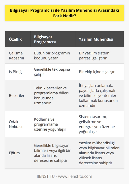 Bir Bilgisayar Programcısı bütün bir programın kodunu yazar,    ise bir sistem oluşturmak için farklı yazılım sistemi mühendisleri tarafından yazılan parçalarla birleştirilecek bir yazılım sistemi parçası geliştirir. Programlama öncelikle tek kişilik bir faaliyettir,    temelde bir ekip faaliyetidir. Programcı,   nın yolunun farkındadır ve önemli işler yaratmak için gereken teknik becerilere sahiptir, , ihtiyaçları anlamak, paydaşlarla birlikte çalışmak ve onların ihtiyaçlarını karşılayan bir cevap geliştirmek için bilimsel bir yöntem izlemektedir.