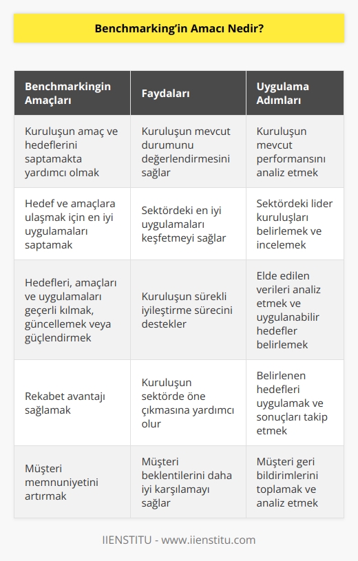 Kuruluşun amaç ve hedeflerini saptamakta yardımcı olmak, Hedef ve amaçlara ulaşmak için en iyi uygulamaları saptamak, Hedefleri, amaçları ve uygulamaları geçerli kılmak,   nü değiştirmek veya güçlendirmek