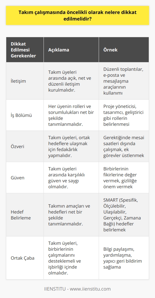 1) İletişim: Takım üyeleri arasındaki iletişimin açık ve net olmasına dikkat edilmelidir.  2) İşbölümü: Takım üyelerinin rolleri ve sorumlulukları net olarak belirlenmelidir.  3) Özveri:   nda her üyenin katkısının değerlendirilmesi ve    çalışmaya önem verilmesi gerekir.  4) Güven: Takım üyelerinin birbirlerine güvenmesi ve herkesin katkısının değerlendirilmesi sağlanmalıdır.  5) Hedef Belirleme: nın amacı ve hedefleri net olarak belirlenmelidir.  6) Ortak Çaba: Takım üyeleri arasında birbirlerinin çalışmalarını desteklemek ve ortak çaba ile çalışmak önemlidir.