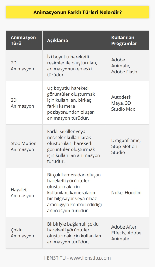 Animasyonun farklı türleri şunlardır:  1. 2D Animasyon: 2D animasyon, animasyonun en eski türüdür. İki boyutlu hareketli resimler ile oluşturulur. Adobe    ve Adobe Flash gibi programlar kullanılarak oluşturulur.  2. 3D Animasyon: 3D animasyon, birkaç farklı kamera pozisyonundan oluşan, üç boyutlu hareketli görüntüler oluşturmak için kullanılan bir animasyon türüdür. Autodesk Maya ve 3D Studio Max gibi programları kullanılarak oluşturulur.  3. Stop Motion Animasyon: Stop Motion animasyon, hareketli görüntüler oluşturmak için kullanılan animasyon türüdür. Farklı şekiller veya nesneler kullanılarak oluşturulur.  4. Hayalet Animasyon: Hayalet animasyon, birçok kameradan oluşan hareketli görüntüler oluşturmak için kullanılan bir animasyon türüdür. Kullanılan kameralar, çekimleri kaydeden bir bilgisayar veya bir cihaz aracılığıyla kontrol edilir.  5. Çoklu Animasyon: Çoklu animasyon, birbiriyle bağlantılı çoklu hareketli görüntüler oluşturmak için kullanılan animasyon türüdür. Adobe After Effects ve Adobe Animate gibi programlar kullanılarak oluşturulur.