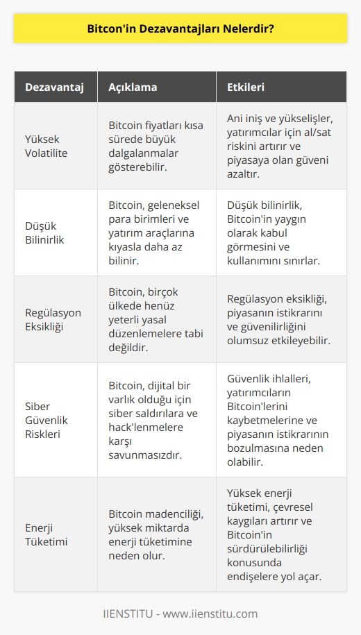 Ani iniş, ani yükselişler al/ sat riskini artırdığı için çoğu yatırımcı soğuk bakar. Bitcoin diğer paralara yani altın , dolara göre daha az bilindiği için kullanım oranı diğer paralara göre daha düşüktür.