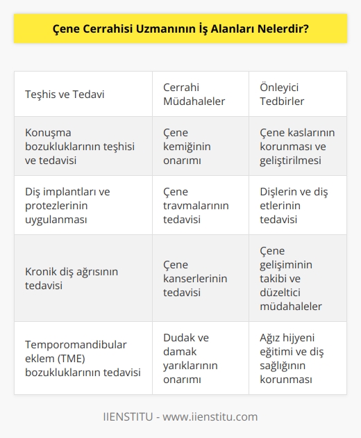 Çene Cerrahisi Uzmanının iş alanları arasında; konuşma bozukluklarının teşhisi ve tedavisi, çene kemiğinin onarımı, çene kaslarının korunması ve geliştirilmesi, çene travmalarının tedavisi, diş implantları ve protezlerinin uygulanması, dişlerin ve diş etlerinin tedavisi, kronik diş ağrısının tedavisi, çene çocuklarının tedavisi ve çene kanserlerinin tedavisi gibi alanlara girer.