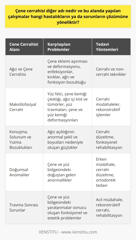 Çene cerrahisi, ağız ve çene cerrahisi veya maksillofasiyal cerrahi olarak da bilinir. Bu alandaki uzmanlar, çene ve yüz bölgesinin yapısal ve işlevsel bozukluklarını tedavi etmek için cerrahi ve non-cerrahi teknikler uygularlar. Bu sorunlar genellikle, yüz felci, çene kemiği çıkıklığı, ağız içi kist ve tümörler, yüz travmaları, çene eklemi hastalıkları ve çene ve yüz kemiği deformasyonları gibi durumlardan kaynaklanır.   Çene Cerrahisinde Karşılaşılan Problemler  Çene cerrahisi, özellikle yetişkinlerde, çene ekleminin aşınması ve deformasyona uğraması, çene kemiği ve çevresindeki yumuşak dokuların enfeksiyonları, çene kemiği kırıkları ve çene ekleminde ağrı ve fonksiyon bozukluğu gibi durumları ele alır. Bu tür durumlar çenenin düzgün bir şekilde çalışmasına engel olur ve günlük işlevlerin yerine getirilmesini zorlaştırır.  Çene Cerrahisinin Uygulama Alanları  Ayrıca, çene cerrahisi, ağız açıklığının anormal şekil ve boyutları nedeniyle konuşma, solunum veya yutma güçlüğü yaşayan bireylerin tedavisi için de kullanılır. Bu genellikle, doğuştan gelen anormallikler veya travmaya bağlı sorunlar nedeniyle olur.  Çene Cerrahisi Uzmanının Görevleri  Çene cerrahisi uzmanı, ağız ve çene bölgesinin sert ve yumuşak dokularında hastalık, yaralanma veya bozuklukları tedavi etmek için cerrahi ve non-cerrahi teknikler uygular. Bu uzmanlar, hastalarının çiğneme ve yutma fonksiyonlarını iyileştiren ve yüz görünümünü düzgünleştiren çözümler sunarlar.  Sonuç olarak, çene cerrahisi, çeşitli ağız ve çene sorunlarının tedavisi ve yönetimini sağlayan karmaşık ve çok yönlü bir alandır. Bu alanda uzmanlaşmış cerrahların, karmaşık çene ve yüz problemlerini çözebilmek için gereken bilgi ve becerilere sahip olması gerekir. Ancak bu sayede, çene cerrahisi, hastaların yaşam kalitesini önemli ölçüde artırabilir ve bu alanın önemi daha da anlaşılabilir hale gelir.