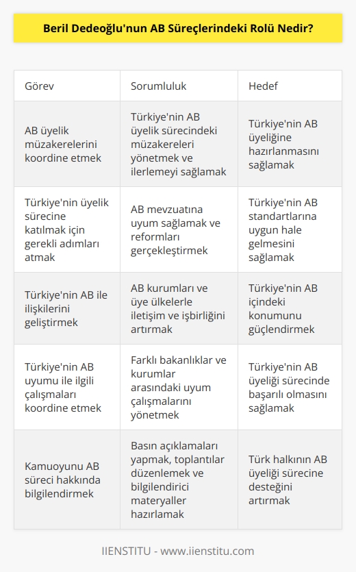 Beril Dedeoğlu, Türkiyenin AB üyeliği sürecini takip eden ve koordine eden AB Uyum Bakanı olarak AB Süreçlerinde önemli bir rol oynamaktadır. Dedeoğlu, üyelik sürecinde ABnin üyelik müzakerelerini koordine etmek, Türkiyenin üyelik sürecine katılmak için gerekli adımları atmak ve Türkiyenin AB ile ilişkilerini geliştirmek üzere AB Uyum Bakanlığının görevlerini yürütmektedir. Dedeoğlu, AB ile ilişkilerin geliştirilmesi ve Türkiyenin AB üyeliği sürecinde başarılı olması amacıyla, Türkiyenin AB uyumu ile ilgili çalışmalarını koordine etmektedir.