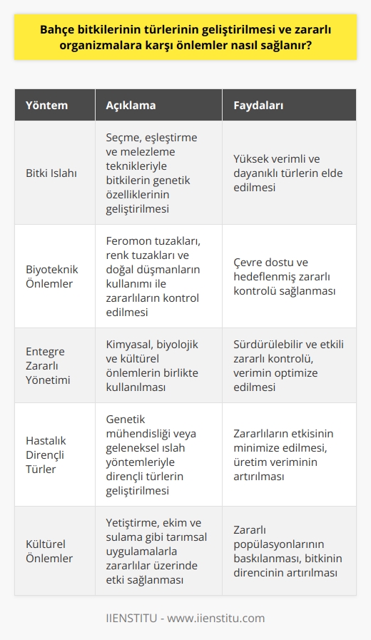 Bitki Islah Yöntemleri  Bahçe bitkilerinin türlerinin geliştirilmesi, tarımsal üretimin verimliliğini ve sürdürülebilirliğini artırmaya yönelik önemli bir süreçtir. Bu süreçte, genetik ve fizyolojik potansiyeli yüksek olan yeni türlerin ortaya çıkışı ve mevcut bitki türlerinin sağlıklı bir şekilde yetiştirilmesi esastır. Bitki ıslah yöntemleri, seçme, eşleştirme ve melezleme gibi tekniklerle bitkilerin genetik özelliklerinin geliştirilmesine imkan sağlar.  Zararlılara Karşı Biyoteknik Önlemler  Zararlı organizmalara karşı önlemleri sağlamak için, biyoteknik yöntemler kullanılabilir. Biyoteknik önlemler zararlıların biyolojik döngülerine müdahale ederek etkisiz hale getirme temelli çalışır. Feromon tuzakları ve renk tuzakları gibi zararlıları çeken ve başkalarına zarar vermeden etkisiz hale getiren yöntemler kullanılır. Ayrıca, zararlıları kontrol eden doğal düşmanların kullanımı, biyoteknik önlemler arasında önemli bir yer tutar.  Entegre Zararlı Yönetimi  Entegre zararlı yönetimi, bahçe bitkilerinde zararlı organizmalara karşı alınacak önlemleri etkili bir şekilde uygulayarak, hem verimi optimize eder hem de çevreye duyarlı bir yaklaşım sunar. Kimyasal mücadele, zararlılar üzerine doğrudan etki eden pestisitlerin uygulanmasıyla gerçekleştirilir. Ancak, sürdürülebilir bir yönetim için, biyolojik mücadele ve kültürel önlemler de kullanılmalıdır. Biyolojik mücadele, zararlıların doğal düşmanları olan parazit ve predatörlerle kontrol edilmesidir. Kültürel önlemler ise yetiştirme, ekim ve sulama gibi tarımsal uygulamalarla zararlılar üzerinde etki sağlar.  Hastalık Dirençli Türlerin Geliştirilmesi  Hastalık dirençli bitki türlerinin kullanılması, bahçe bitkilerinin zararlı organizmalara karşı daha dayanıklı olmasını sağlar.    ile dirençli türler üretilebilir veya mevcut türlerin dirençli özellikleri üzerinde çalışılarak, daha dayanıklı yeni türler oluşturulabilir. Bu sayede, zararlıların etkisi minimuma indirilirken, üretim verimi ve sürdürülebilirlik artar.  Sonuç olarak, bahçe bitkilerinin türlerinin geliştirilmesi ve zararlı organizmalara karşı önlemler almak, tarımsal üretimin verimliliği ve sürdürülebilirliği için büyük önem taşır. Bitki ıslah yöntemleri, biyoteknik önlemler, entegre zararlı yöntemleri ve hastalık dirençli türlerin geliştirilmesi sayesinde bu amaçlara ulaşmak mümkündür.