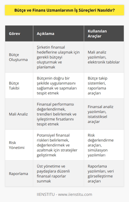 Bütçe ve finans uzmanlarının iş süreçleri, şirketlerin bütçelerini oluşturmak, takip etmek ve raporlamak için kullanılan çeşitli yöntemleri kullanır. Bütçe ve finans uzmanları, mali kaynakların etkin kullanımını ve mali risklerin azaltılmasını sağlamak için her türlü harcamayı izlemekle sorumludurlar. Bütçe ve finans uzmanları ayrıca, mali kaynakların kullanımının etkinliğini ve verimliliğini arttırmak için yönetim kararlarını desteklemek ve mali kaynakların tahsis ve kullanımının uygunluğunu değerlendirmek için mali analizler yaparlar. Ayrıca, bütçe ve finans uzmanları, genel maliyeyi, vergi planlamasını ve çalışanların ödemelerini yönetmek için mali araçları kullanır.