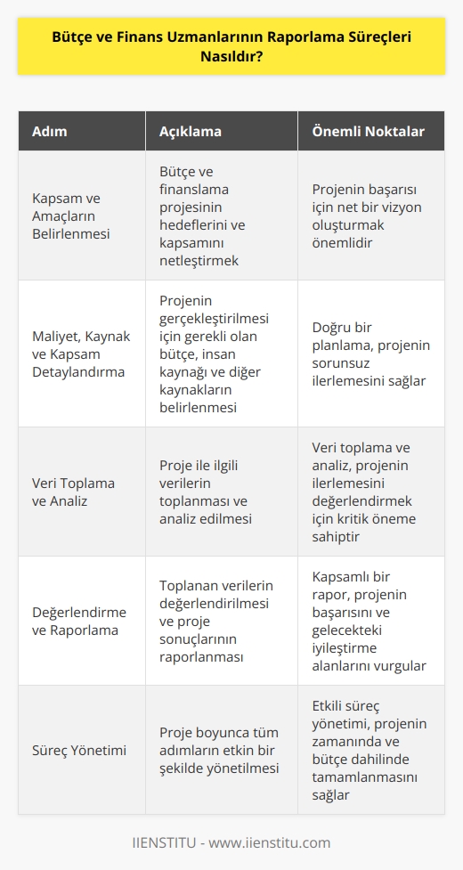 Bütçe ve Finans Uzmanlarının raporlama sürecinde her bütçe ve finanslama projesi için belirli adımlar bulunur. Bu adımların her birinin amacı, bütçe ve finanslama projesine ilişkin bilgileri toplamak, değerlendirmek ve sonuçlarını raporlamaktır. Öncelikle, bir bütçe ve finanslama projesini başlatmak için, kapsam ve amaçların belirlenmesi gerekmektedir. Ardından, projenin maliyetleri, kaynakları ve kapsamının detaylandırılması gerekir. Daha sonra, proje için gerekli verilerin toplanması ve bu verilerin analiz edilmesi gerekir. Son olarak, toplanan bilgilerin değerlendirilmesi ve proje sonuçlarının raporlanması gerekir. Rapor, kapsam ve amaçların belirlendiği başlangıçtan projeyi tamamlamaya kadar olan tüm süreçleri kapsamalıdır.