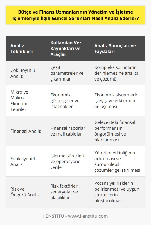 Bütçe ve finans uzmanları, güncel sorunları ve işletme işlemlerini analiz etmek için bir dizi teknik kullanırlar. Bunlar arasında, çok boyutlu analiz, mikro ve makro ekonomi teorileri, finansal analiz, fonksiyonel analiz ve risk ve öngörü analizi yer alır. Bunların her birinde, uzmanlar çeşitli veri kaynakları ve araçlar kullanırlar. Çok boyutlu analiz, uzmanların çeşitli parametreleri ve çıkarımları kullanarak kompleks sorunları analiz etmelerine olanak tanır. Mikro ve makro ekonomi teorileri, uzmanların ekonomik sistemlerin çalışmasını ve etkilerini anlamalarını sağlar. Finansal analiz, uzmanların özellikle finansal raporları inceleyerek öngörüler geliştirmelerine olanak tanır. Fonksiyonel analiz, uzmanların işletme işlemlerinin yönetimini inceleyerek etkili çözümler geliştirmelerine olanak tanır. Risk ve öngörü analizi, uzmanların karar verme sürecinde potansiyel riskleri ve getirileri inceleyerek uygun çözümler üretmelerine olanak tanır.