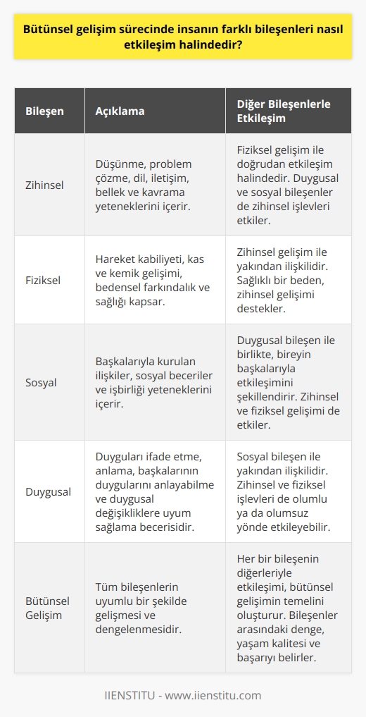 Bütünsel Gelişim ve Bileşenler  Bütünsel gelişim sürecinde, insanın zihinsel, fiziksel, sosyal ve duygusal bileşenleri birbiriyle etkileşim içerisindedir. Bu bileşenler, bir insanın kendi içinde ve başkalarıyla kurduğu ilişkileri şekillendirir.   Zihinsel ve Fiziksel Bileşenlerin Etkileşimi  Zihinsel gelişim, insanın düşünme ve problem çözme becerilerini, dil ve iletişim yeteneklerini, bellek ve kavrama yetisini kapsar. Fiziksel gelişim ise, hareket kabiliyetini, kas ve kemik gelişimini, bedensel farkındalığı ve sağlığı kapsamaktad. Zihinsel ve fiziksel gelişim süreçleri, birbirlerini doğrudan etkileyerek, bireyin tüm yaşamında önemli rol oynar.  Sosyal ve Duygusal Bileşenlerin Etkileşimi  Sosyal gelişim, bireyin başkalarıyla kurduğu ilişkileri, sosyal becerileri ve işbirliği yeteneklerini içerir. Duygusal gelişim ise, insanın kendi duygularını ifade etme ve anlama, başkalarının duygularını anlayabilme ve duygusal değişikliklere uyum sağlayabilme becerisidir. Sosyal ve duygusal bileşenler, insanın başkalarıyla etkileşimde bulunurken kendisini nasıl hissettiğini ve davrandığını belirler.  Bileşenlerin İlişkisi ve Bütünsel Gelişimin Önemi  İnsanın farklı bileşenleri, bir arada çalışarak bütünsel gelişimi sağlamaktadır. Örnek olarak, bedensel sağıklı bir birey, daha iyi odaklanıp problem çözebilir ve bu sayede zihinsel gelişimini destekler. Aynı şekilde, duygusal sağlık ve güçlü sosyal ilişkiler de zihinsel fonksiyonları olumlu yönde etkiler.  Bu nedenle, bütünsel gelişimin sağlanması için, insanın her bileşenine dikkat etmek ve desteklemek önemlidir. Bireyin yaşam kalitesi ve başarısı, bileşenlerin uyumlu çalışması ve iyi bir denge sağlamasıyla doğrudan ilgilidir.