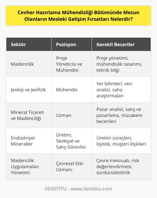 1. Madencilik sektöründe proje yöneticiliği ve mühendisliği 2. Jeoloji ve jeofizik alanlarında çalışan mühendisler 3. Mineral ticareti ve mineral madenciliği alanında çalışan uzmanlar 4. İşletme sahibi veya    5. Endüstriyel minerallerde üretim, sevkiyat ve satış görevleri 6. Çevresel etkileri azaltmak için madencilik uygulamaları yönetimine ilişkin deneyim 7. Yönetim ve kontrol teknolojileri konusunda uzman 8. Teknik ürün ve hizmetlerde danışmanlık 9. Maden işletmelerinin verimliliğini iyileştirmek için mühendislik çözümleri sunmak 10. Laboratuar analizleri ve testleri için teknik uzman