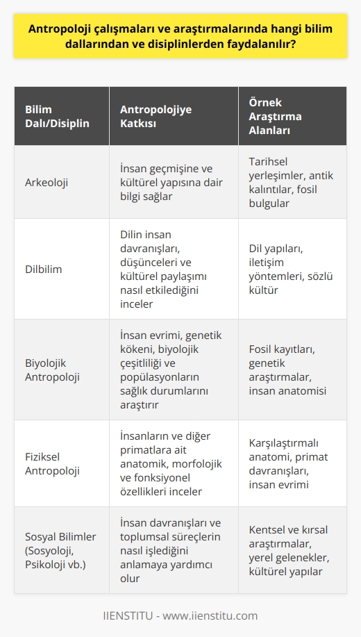 Antropoloji Araştırmalarında Kullanılan Bilim Dalları ve Disiplinler  Antropoloji çalışmaları ve araştırmalarında farklı bilim dalları ve disiplinlerden faydalanılır. Bu dalların ve disiplinlerin başlıcaları arkeoloji, dilbilim, biyolojik antropoloji ve fiziksel antropoloji olarak belirlenebilir.  Arkeoloji ve Antropoloji  Antropolojik araştırmalarda arkeoloji, insan geçmişine ve kültürel yapısına dair bilgi sağlayarak önemli bir rol oynar. Bu sayede insanların tarih içerisinde nereden geldikleri, nasıl yaşadıkları ve toplum yapılarının nasıl geliştiği konularına ışık tutar.  Dilbilim ve Antropoloji  Dilbilim ise antropoloji çalışmalarında dilin insan davranışları, düşünceleri ve kültürel paylaşımı nasıl etkilediğini anlamak için kullanılır. Böylelikle farklı toplumların iletişim yöntemleri, anlatılar ve sözel kültürleri üzerinden insanlık tarihi hakkında daha geniş bir perspektif kazanılabilir.  Biyolojik Antropoloji ve Fiziksel Antropoloji  Biyolojik antropoloji, insan evrimi, genetik kökeni, biyolojik çeşitliliği ve populasyonların sağlık durumları gibi konuları inceleyerek antropoloji alanına katkı sağlar. Bu süreçte, fosil kayıtları ve genetik araştırmalar gibi farklı disiplinlerden yararlanılır. Fiziksel antropoloji, insanların ve diğer primatlara ait anatomik, morfolojik ve fonksiyonel özelliklerle ilgili araştırmalar yaparak insanlığın kökleri ve evrim süreci hakkında önemli bilgiler elde etmeye olanak tanır.  Sosyal Bilimlerin Rolü  Antropoloji disiplininin kapsamı aynı zamanda    ve psikoloji gibi sosyal bilim dallarını da içerir. Sosyal fenomenlerin sistematik bir tanımı, sınıflandırması ve açıklaması amacıyla yapılan bu tür araştırmalar, insan davranışları ve toplumsal süreçlerin nasıl işlediğinin anlaşılabilmesinde önemlidir. Kentsel ve kırsal alanlarda yürütülen araştırmalar yerel geleneklerin anlaşılması ve kültürel yapıların ortaya çıkarılması bağlamında fayda sağlar.  Sonuç  Antropoloji çalışmaları ve araştırmalarında farklı bilim dalları ve disiplinlerden yararlanarak insan ve toplum hakkında daha derin bir bilgi ve anlayış elde etmek mümkündür. Bu sayede, insanlığın tarihine, kültürel gelişimine ve sosyal yapılarına dair daha kapsamlı bir perspektif kazanarak insan ve   nin daha geniş hedeflerine ulaşılabilir.