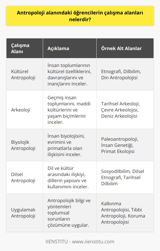 Antropoloji alanındaki öğrencilerin çalışma alanları, toplumsal değişim, kültürlerarası iletişim, tarihsel süreçler, kültürel anlatılar ve kültürlerarası insan hakları gibi konularda olabilir. Ayrıca, kültürel antropoloji, arkeoloji, etnografi, antropoloji ve tarih, sosyal antropoloji, kültürel ve sosyal çalışmalar, antropoloji ve kültürel kimlik, kültürlerarası çalışmalar, etnik kimlik ve toplumsal cinsiyet çalışmaları gibi konuları da kapsayacaktır.