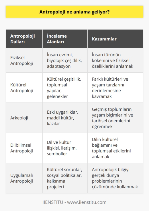 Antropoloji sayesinde, sadece soyu tükenmiş kültürler hakkında her şeyi bilmekle kalmaz, aynı zamanda tarihsel önemlerini de anlarsınız. Pek çok farklı kültürel açıdan bu geniş bilgi duygusu, gezegendeki diğerleriyle onların bakış açılarını anlamada daha derinden empati kurmanıza olanak tanır, bu da onların nasıl daha iyi anlaşılabilecekleri ve etraflarındakiler tarafından nasıl yardım edilebilecekleri konusunda fikir verir!