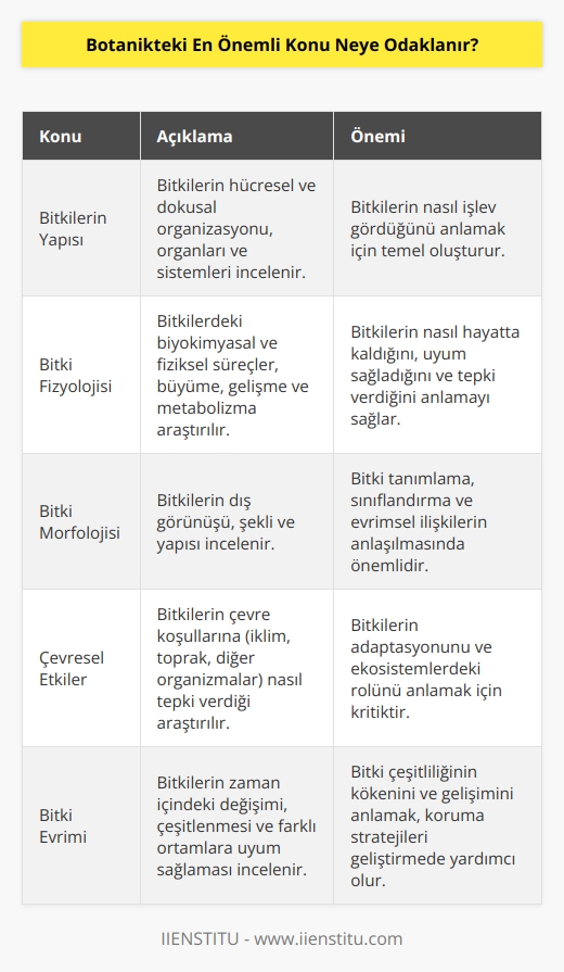 Botanikteki en önemli konu bitkilerin yapısı, fizyolojisi, morfolojisi, çevresel etkileri ve evrimi ile ilgilidir. Botanikçiler, bitkilerin üretiminin nasıl optimize edilebileceğini, bitkilerin nasıl korunabileceğini ve bitkilerin çeşitliliğini nasıl artırılabileceğini anlamaya çalışırlar. Botanikçiler, bitkileri kültürümüz, tıp ve diğer alanlarda kullanmamızı sağlayan önemli bilgileri de keşfetmeye çalışırlar.