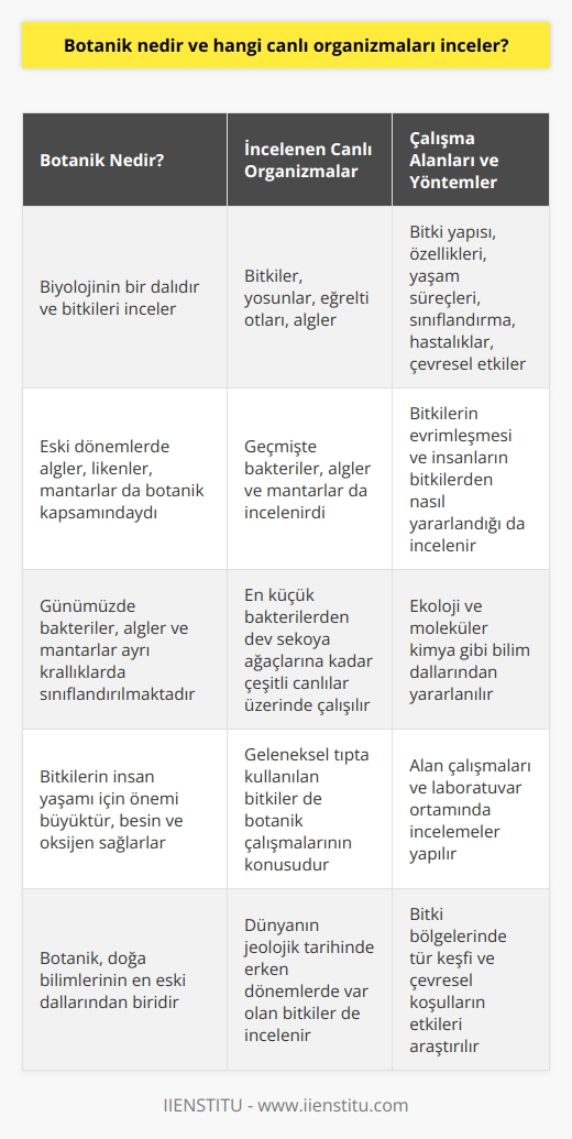 Botanik Nedir?  Botanik, canlı organizmaları inceleyen bir biyoloji dalı olup bitkiler ve bitki benzeri organizmaları konu alır. Eski dönemlerde algler, likenler, mantarlar ve yosunlar gibi daha çok bitkiye benzeyen canlılar da botanik kapsamında incelenirdi. Fakat, zaman içerisinde bakteri, alg ve mantarların farklı bir krallığa ait olduğu anlaşılmıştır.  Bitki Grupları ve İncelenen Organizmalar  Günümüzde botanik incelemelerinde en küçük bakterilerden en büyük canlılara, dev sekoya ağaçlarına kadar çok çeşitli canlı organizmalar üzerinde çalışılmaktadır. Bilim insanları, bakterilerin, alglerin ve mantarların kendi ayrı krallıklarında olduğunu savunarak bitkiler, yosunlar, eğrelti otları ve algleri ele almaktadırlar.  Çalışma Alanları ve Yöntemler  Botanik alanında yapılan araştırmalar, bitkilerin yapı, özellikler, yaşam süreçleri, sınıflandırmalar, hastalıklar, çevresel etkiler ve etkileşimler gibi konuları inceler. Ayrıca, insanların bitkilerden nasıl yararlandıklarını ve bitkilerin nasıl evrimleştiğini de konu alır. Botanikçiler, bitkilerin yaşamlarını araştırırken ecoloji ve moleküler kimya gibi bilim dallarından da yararlanmaktadırlar.  Botanik ve İnsan Yaşamının İç İçeliği  Bitkiler, doğrudan veya dolaylı olarak tüm besinimizi ve soluduğumuz oksijeni sağlayarak insanların yaşamları için büyük önem taşır. Botanik alanında gerçekleştirilen araştırmalar doğa bilimlerinin en eskilerinden bir olan ve Dünyanın jeolojik tarihinde daha erken dönemlerde var olan bitkiler üzerinde yapılmaktadır. Geleneksel tıpta kullanılan bitkilerin araştırılması ve ana ilaçlara nasıl uygulanabilecekleri de botanik çalışmalarının başlıca kaynaklarındandır.  Laboratuvar ve Alan Çalışmaları  Botanik alanında uzmanlaşmış bilim insanları, bitki bölgelerinde tür keşfi ve çevresel koşulların bitki yaşamı üzerindeki etkilerini inceleyerek alan çalışmaları yapmaktadırlar. Aynı zamanda botanikçiler, bitkilerin yapısını inceleyerek ve moleküler kimya gibi araçları kullanarak laboratuvar ortamında çalışmalar gerçekleştirirler.  Sonuç olarak, botanik bilimi insanların yaşamları ve çevresi için büyük önem taşımaktadır. Bitkiler ve bitki benzeri organizmaların yaşamları, yapısı, evrimleri ve insanlarla olan etkileşimleri ile ilgili bilgi sağlayarak toplumun ve doğanın daha uyumlu bir şekilde buluşmasına katkıda bulunmaktadır.