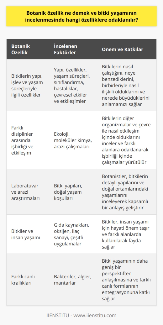 Botanik Özellikler ve İncelenen Faktörler  Botanik özellik demek, bitkilerin yapı, işlev ve yaşam süreçleriyle ilgili özelliklerini kapsayan bir kavramdır. Bitki yaşamının incelenmesinde ise, yapı, özellikler, yaşam süreçleri, sınıflandırma, hastalıklar, çevresel etkiler ve etkileşimler gibi faktörlere odaklanılır. Bu faktörler, bitkilerin nasıl çalıştığını, neye benzediklerini, birbirleriyle nasıl ilişkili olduklarını ve nerede büyüdüklerini anlamamızı sağlar.  Çalışma Alanları ve Disiplinler  Botanik bilimi, farklı disiplinler arasında işbirliği yaparak ve najelerin, mantarların ve bakterilerle etkileşim içinde olan bitki türlerini inceleyerek çalışır. Ekoloji ile ilgilenen botanikçiler, bitkilerin diğer organizmalar ve çevre ile nasıl etkileşim içinde olduklarını inceler. Bu bağlamda, bitki yaşamının farklı alanlarına odaklanarak, işbirliği içinde çalışmalar yürütülür.  Laboratuvar ve Arazi Araştırmaları  Botanik çalışmaları hem laboratuvar hem de arazi ortamında gerçekleştirilir. Laboratuvar ortamında çalışan botanistler, bitki yapıları ile ilgili detayları incelemek için moleküler kimya gibi araçları kullanırken, arazi ortamında çalışan botanistler ise, bitkilerin doğal yaşam koşullarında nasıl büyüdüklerini ve yaşamlarını sürdürdüklerini inceler.  Botanik ve İnsan Yaşamı  Botanik, insan yaşamı için önemlidir, çünkü bitkiler doğrudan veya dolaylı olarak tüm gıda kaynaklarımızı ve soluduğumuz oksijeni sağlamaktadır. Ayrıca, bitkilerle gerçekleştirilen çeşitli etkileşim ve uygulamalar sayesinde, bitkilerin ilaç sanayi ve diğer alanlarda kullanılması gibi faydalar elde edilmektedir.  Bitkiler ve Krallıklar  Günümüzde bilim adamları, bakterilerin, alglerin ve mantarların kendi ayrı krallıklarına ait olduklarını savunmaktadırlar. Bu farklı krallıkların incelenmesi, bitki yaşamının daha geniş bir perspektiften anlaşılmasına ve bu canlıların çeşitli yaşam formlarının entegrasyonuna katkı sağlamaktadır.  Sonuç olarak, botanik özellik, bitkilerin yapı, işlev ve yaşam süreçleriyle ilgili kavramlara işaret etmektedir ve botanik incelemelerde yapı, özellikler, yaşam süreçleri, sınıflandırma, hastalıklar ve çevresel etkiler gibi faktörler dikkate alınmaktadır. Bu araştırmalar dünyanın dört bir yanındaki bitkilere ulaşmayı amaçlar ve bitkilerin ve insan yaşamları için önemini göz önünde bulundurarak, farklı krallıkları ve yaşam formlarını gözlemlemeye dayalı çalışmalar yapılmaktadır.