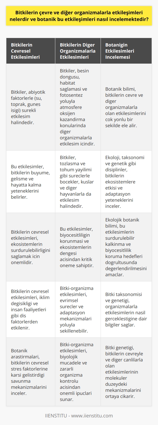 Bitkilerin Çevresel Etkileşimleri  Bitkiler, dünya ekosistemlerinin canlı ve cansız bileşenleriyle sürekli etkileşim halinde bulunurlar. Bu etkileşimler, su, toprak ve aşırı güneş ışığı gibi abiyotik (cansız) faktörlerle bitkilerin büyüme, gelişme ve hayatta kalma yeteneklerini belirler.  Bitkilerin Diğer Organizmalarla Etkileşimleri  Bitkilerin, diğer organizmalarla etkileşimleri de önem taşır. Özellikle besin döngüsü, habitat sağlaması ve fotosentez yoluyla atmosfere oksijen kazandırma gibi konularda bitkilerin organizmalarla etkileşimleri vardır. Ayrıca bitkiler, tozlaşma ve tohum yayılımı gibi süreçlerle böcekler, kuşlar ve diğer hayvanlarla da etkileşim içindedirler.  Botaniğin Etkileşimleri İncelemesi  Botanik bilimi, bitkilerin çevre ve diğer organizmalarla olan etkileşimlerini çok yönlü bir şekilde ele alır. Ekoloji, taksonomi ve genetik gibi disiplinlerin de içinde bulunduğu botanik alanına göre, bitkilerin ekosistemlere etkisi ve adaptasyon yeteneklerini incelemeye yöneliktir.  Ekoloji ve Bitkilerin Etkileşimi  Bitkilerin ekosistemdeki rolünü anlamak adına ekoloji çalışmaları, bitkilerle çevresel faktörler ve diğer organizmalar arasındaki etkileşimleri analiz eder. Bu etkileşimlerin sürdürülebilir kalkınma ve biyoçeşitlilik koruma hedefleri doğrultusunda değerlendirilmesi ve korunması, ekolojik botanik biliminin esas amaçlarındandır.  Bitki Taksonomisi ve Organizmalarla Etkileşim  Bitkilerle diğer organizma türleri arasındaki etkileşimleri anlamlandırmak için taksonomi bilimi kullanılır. Bitkilerin sınıflandırılması ve tanımlanması sürecinde bu etkileşimlerin nasıl gerçekleştiğine dair bilgilere ulaşılır.  Bitki Genetiği ve Çevresel Etkileşim  Bitkilerin çevre ve diğer organizmalarla etkileşimleri genetik düzeyde de incelenir. Genetik yapılarındaki değişiklikler, bitkilerin çevreye ve dış organizmalara karşı adaptasyon süreçlerinde önemli rol oynar. Bu bağlamda botaniğin genetik araştırmaları, bitkilerin çevreyle ve diğer canlılarla olan etkileşimlerinin moleküler düzeydeki mekanizmalarını ortaya çıkarmaya yöneliktir.  Sonuç olarak, bitkilerin çevre ve diğer organizmalarla etkileşimlerinin incelenmesi, botanik biliminin önemli bir kısmını oluşturur. Bu sayede ekosistemlerin sürdürülebilirliğini sağlamak için düzenleyici mekanizmalar hakkında bilgi elde edilir.
