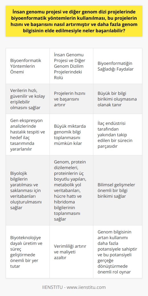 Biyoenformatik, İnsan Genomu Projesinin ve Diğer Genom Dizilim Projelerinin Başarısını Artırır  Biyoenformatik yöntemlerin kullanımı, insan genomu projesi ve diğer genom dizilim projelerinin başarısını ve hızını artıran önemli bir tekniktir. Bu süreçlerdeki verilerin hızlı, güvenilir ve kolay erişilebilir olmasını sağlayarak büyük bir bilgi birikimi oluşmasına olanak sağlamıştır.  Biyoenformatik Tekniklerin Önemi  Biyoenformatik, gen ekspresyon analizlerinin odak noktası olarak genellikle çeşitli hastalıklardan etkilenen hücrelerin ekspresyonlarını toplar ve sağlıklı hücrelerle karşılaştırır. Bu durum, hastalık teşhisi ve hedef ilaç tasarımında yararlı olan farklılıklardan faydalanmayı mümkün kılar.  Genom Dizilim Projeleri ve Biyoenformatik  Genom dizilim projelerinde biyoenformatik yöntemlerin kullanılması, büyük miktarda genomik bilgi toplamayı mümkün kılar. Genom sekanslama, ilaç endüstrisi tarafından da yakından takip edilen bir sürecin parçasıdır. Bilimsel gelişmeler, önemli bir bilgi birikimi sağlamış ve biyoenformatik, bu bilgilerin yaratılması ve saklanması için veritabanlarını oluşturmayı gerektirmiştir.  Veritabanları ve Bilginin Saklanması  Biyolojik bilgilerin yaratılması ve saklanması için veritabanlarının oluşturulması, biyoenformatiğin önemli bir görevidir. Biyoenformatik, insanlar dahil tüm biyolojik türlerin genoma, protein dizilemelerine, proteinlerin üç boyutlu yapılarına ve metabolik yol veritabanlarına, hücre hattı ve hibridoma bilgilerinin toplanmasını da sağlar.  Sonuç Olarak  Biyoenformatik, insan genomu projesinin başarısında önemli bir rol oynamıştır. Ayrıca biyoteknolojiye dayalı üretim ve süreç geliştirmede de önemli bir yer tutar. Biyoenformatik yöntemlerinin kullanılması, hem verimliliği artırmış hem de maliyeti azaltmıştır. Genom bilgisinin artan kullanımı, daha fazla bir potansiyele sahiptir ve biyoenformatik gereçleri, bu potansiyeli gerçeğe dönüştürmede önemli bir rol oynamaktadır.