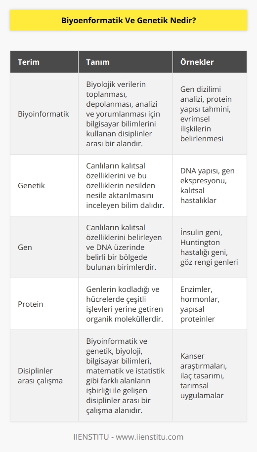 Biyoinformatik ve genetik insan dahil çeşitli türlerde yapılan gen ve protein araştırmalarını informatik alanıyla birleştiren bir bölümdür.