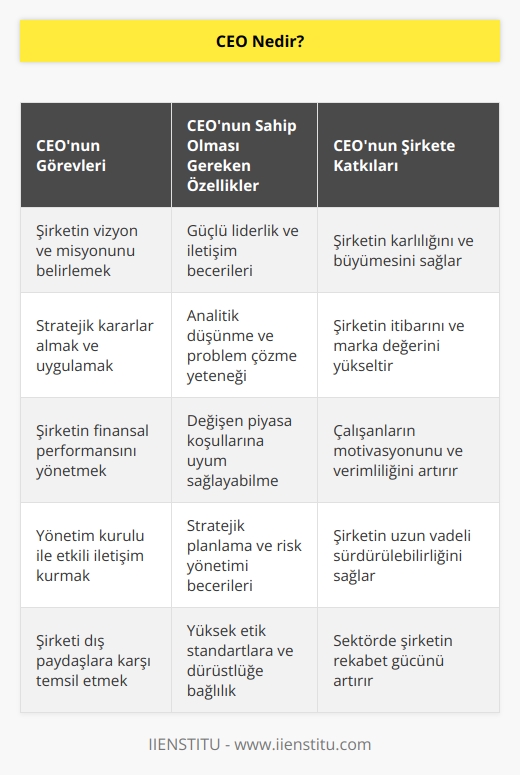 CEO; bir kuruluşun eldeki kaynaklarını en verimli şekilde kullanan, planlayan ve yürüten aynı zamanda karlılığını sağlayan, kuruluşun itibarını yükselten, kuruluşu konumlandıran tüm başarı ve   lardan ilk sorumlu olan kişidir.